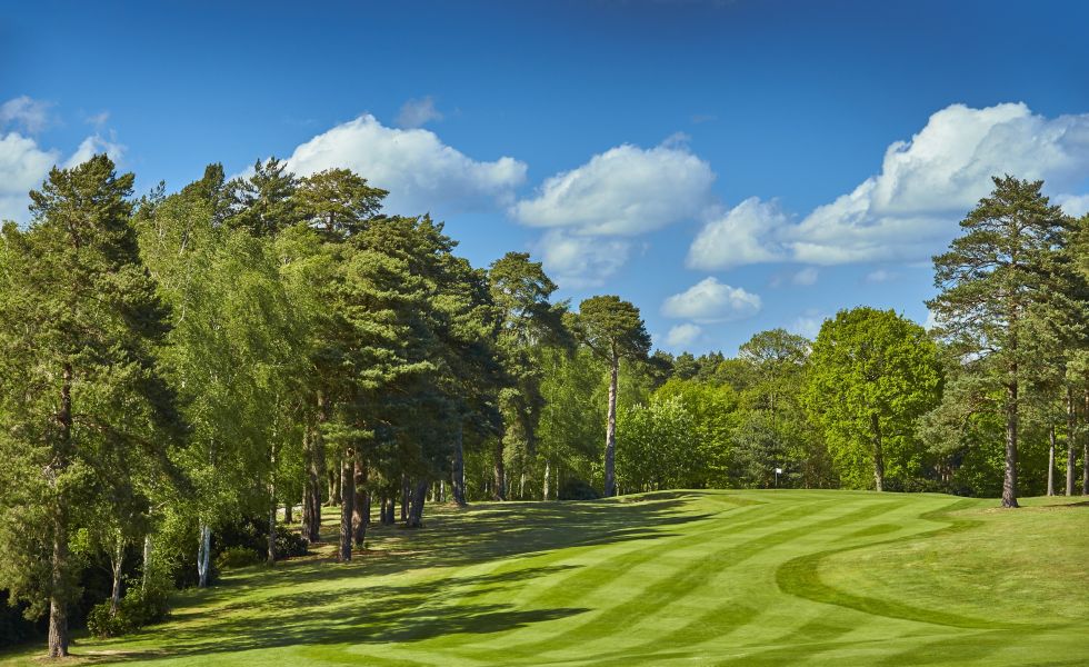 Bernard Hunt golf course at Foxhills Country Club & Resort