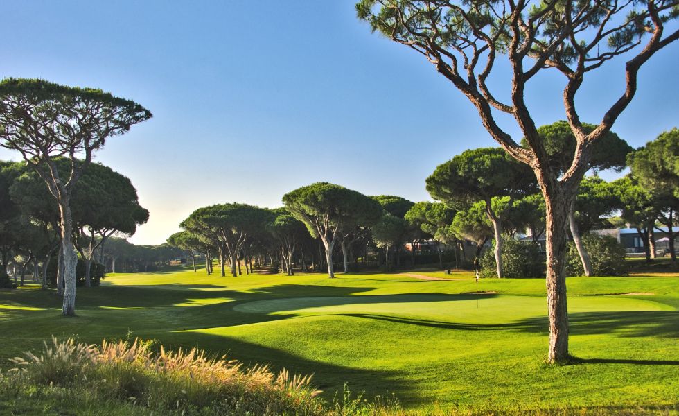 Embark on a golfing odyssey at Dom Pedro Millennium Golf Course, a golfer's sanctuary near Crowne Plaza Vilamoura. Immerse yourself in the meticulously designed fairways and captivating landscapes, where every swing is a celebration of your golfing journey
