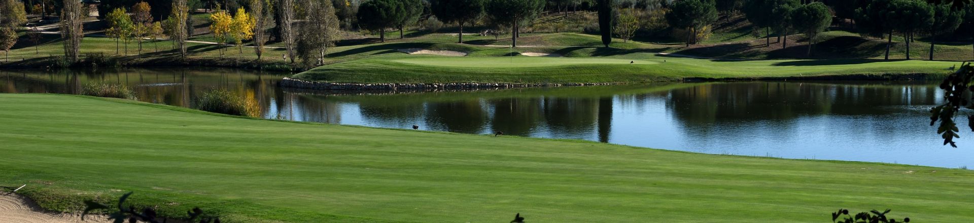 Golf Santander & Sports